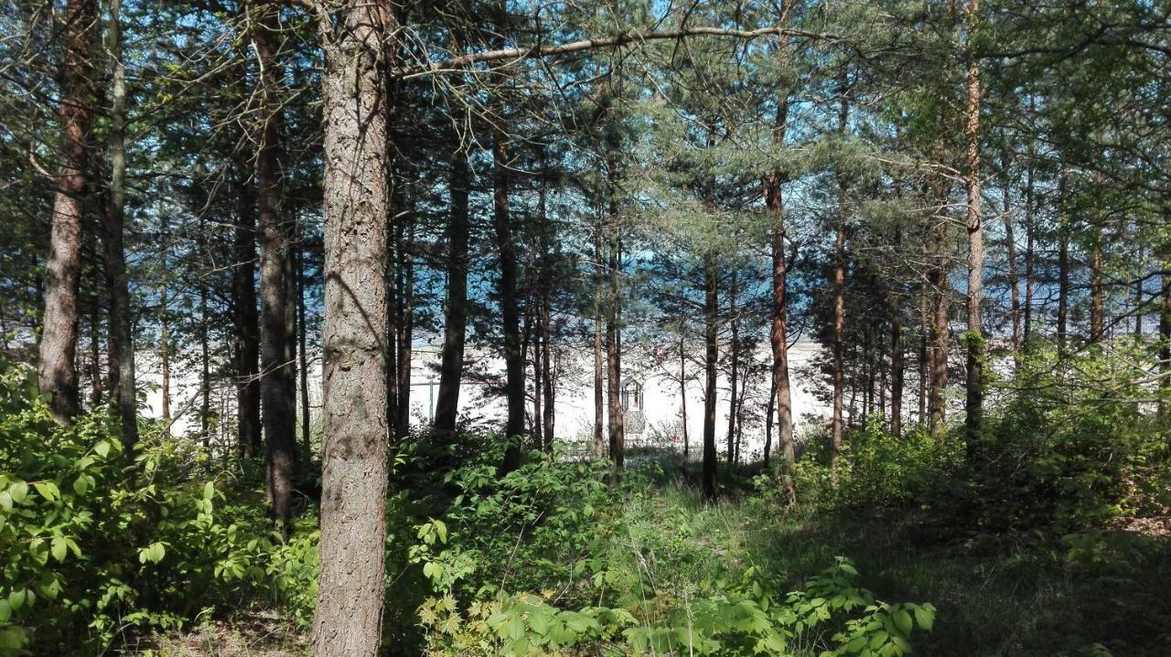 Hotel Privatviesnica Zvaigzne Jūrkalne Exteriér fotografie